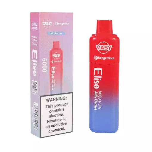 2024 New Vasy Elise 5000 Puffs Factory Direct Disposable Vape Wholesale Multiple Flavor Choices 7