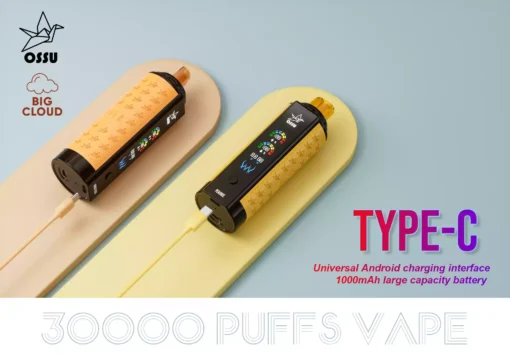 Comprar a granel OSSU 30000 Puffs 0,5Ω Bobina de malha dupla Vape descartável direto da fábrica com variedade de sabores 8