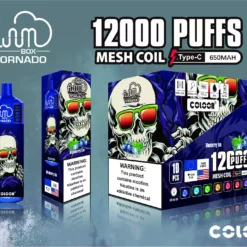 FLUUM Box 12000 Puffs Wholesale Direct from Factory Rich Flavors Ready Stock (9)