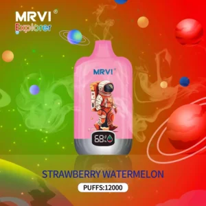 Factory Direct MRVI Explorer 12000 Puffs Mesh Coil vienkartinių vape didmeninė prekyba su įvairiais skonio variantais (10)