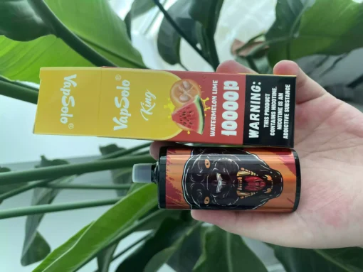 Direto da fábrica Vapsolo King 10000 Puffs 20 ML atacado com múltiplas opções de sabores 4 em escala