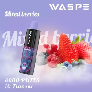Best 6000 Puffs Waspe Vapes for Polish Wholesale Buyers