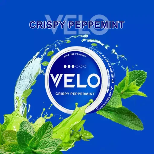 2024 New VELO Nicotine Pouches Bulk Options Nicotine 6MG 10MG with a Variety of Flavors 3