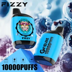 Fizzy Great 10000 Puffs Nicotine 0 2 3 5 LCD Display Factory Direct Wholesale with Multiple Flavor Options 4