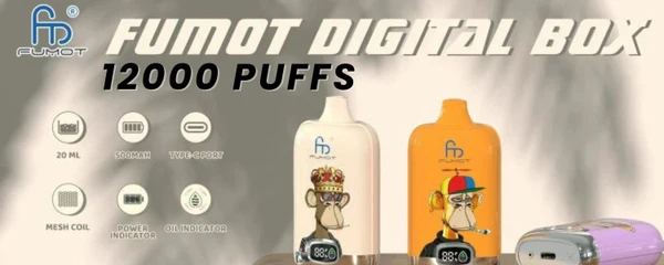 When is the Best Time to Buy Fumot Disposable Vapes in Bulk (2)