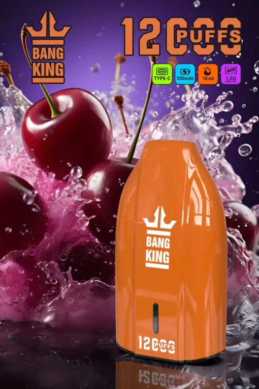 BANG KING 12000 Puffs Rechargeable 600mAh Battery Original Fresh Disposable Vape Wholesale Bulk Order Multiple Flavor Choices 0% 2% 3% 5% Nicotine (12)