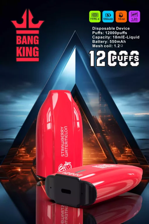 BANG KING 12000 Puffs Rechargeable 600mAh Battery Original Fresh Disposable Vape Wholesale Bulk Order Multiple Flavor Choices 0 2 3 5 Nicotine 5 scaled