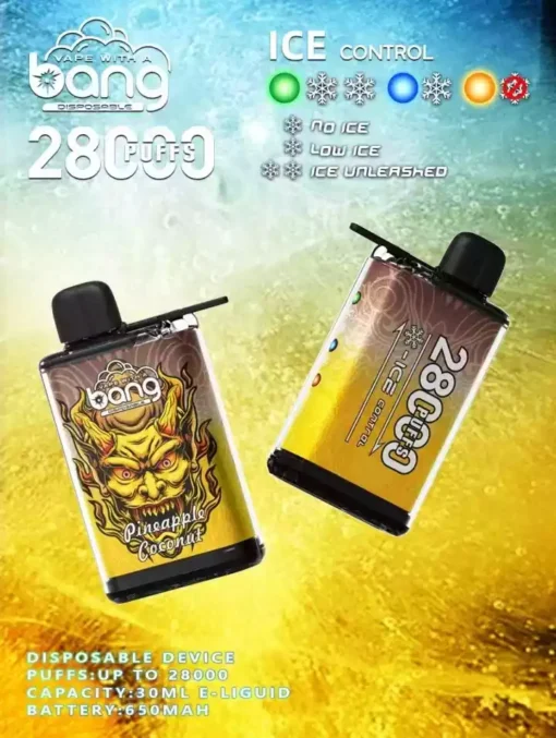 Bang 28000 Puffs Mesh Coil OEM ODM Disposable Vape Wholesale Direct Factory Bulk Orders Multiple Flavors 0 2 3 5 Nicotine 9