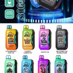 2025 Best ANU Disposable Vapes for Travel in Spain2
