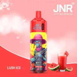 Best Selling JNR Alien 10000 Puffs Disposable Vape 0 2 5 Nicotine 850mAh Rechargeable Battery 50 Flavors Direct from Factory for Bulk Orders 12