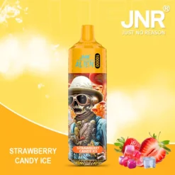 Best Selling JNR Alien 10000 Puffs Disposable Vape 0 2 5 Nicotine 850mAh Rechargeable Battery 50 Flavors Direct from Factory for Bulk Orders 14