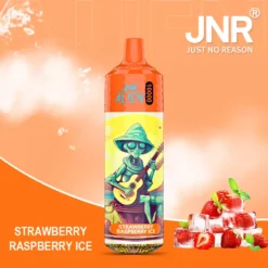 Best Selling JNR Alien 10000 Puffs Disposable Vape 0 2 5 Nicotine 850mAh Rechargeable Battery 50 Flavors Direct from Factory for Bulk Orders 17