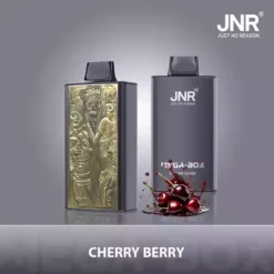 Hot Sale JNR Mega Box 25000 Puffs Disposable Vape with Dual Mesh Coil 850mAh Battery 30ML Liquid Available for Bulk Purchase from Factory Direct 10