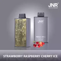 Hot Sale JNR Mega Box 25000 Puffs Disposable Vape with Dual Mesh Coil 850mAh Battery 30ML Liquid Available for Bulk Purchase from Factory Direct 15