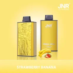 Hot Sale JNR Mega Box 25000 Puffs Disposable Vape with Dual Mesh Coil 850mAh Battery 30ML Liquid Available for Bulk Purchase from Factory Direct 19