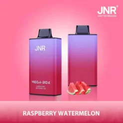 Hot Sale JNR Mega Box 25000 Puffs Disposable Vape with Dual Mesh Coil 850mAh Battery 30ML Liquid Available for Bulk Purchase from Factory Direct 23