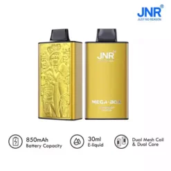 Hot Sale JNR Mega Box 25000 Puffs Disposable Vape with Dual Mesh Coil 850mAh Battery 30ML Liquid Available for Bulk Purchase from Factory Direct 24
