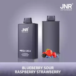 Hot Sale JNR Mega Box 25000 Puffs Disposable Vape with Dual Mesh Coil 850mAh Battery 30ML Liquid Available for Bulk Purchase from Factory Direct