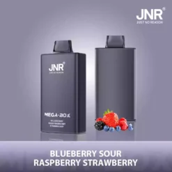 Hot Sale JNR Mega Box 25000 Puffs Disposable Vape with Dual Mesh Coil 850mAh Battery 30ML Liquid Available for Bulk Purchase from Factory Direct 8