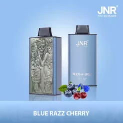 Hot Sale JNR Mega Box 25000 Puffs Disposable Vape with Dual Mesh Coil 850mAh Battery 30ML Liquid Available for Bulk Purchase from Factory Direct 9